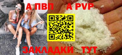 спиды Кингисепп