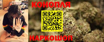 спиды Кингисепп