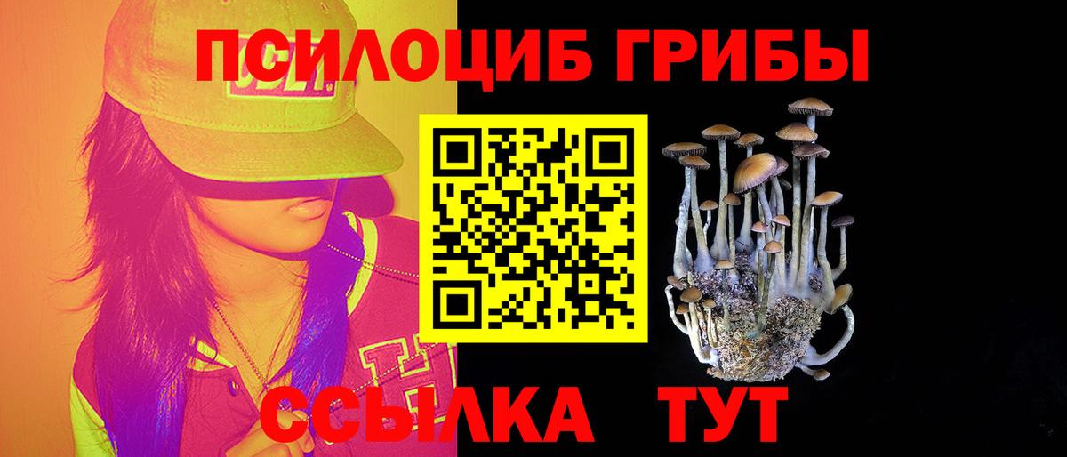 Галлюциногенные грибы мицелий  Вход с VPN  Торжок 